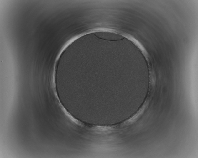 X0000115270910200911061305