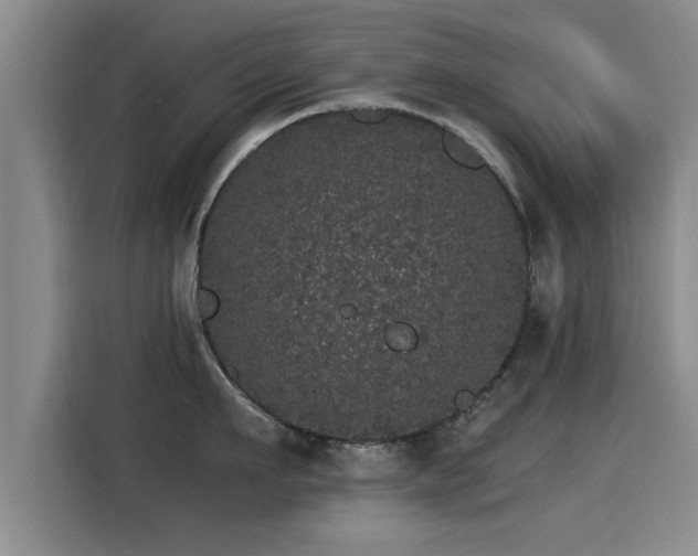X0000115270911200911061305