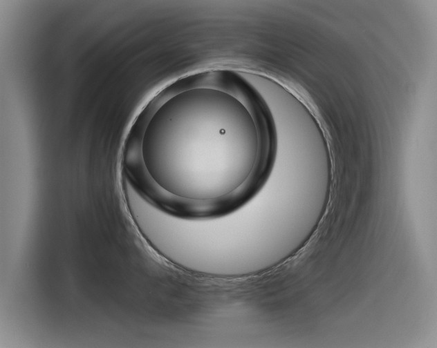 X0000115270912200911061305