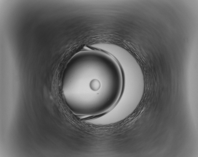 X0000115270913200911061304
