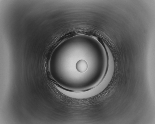 X0000115270915200911061304