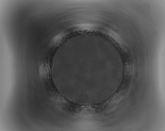 X0000115270918200911061305