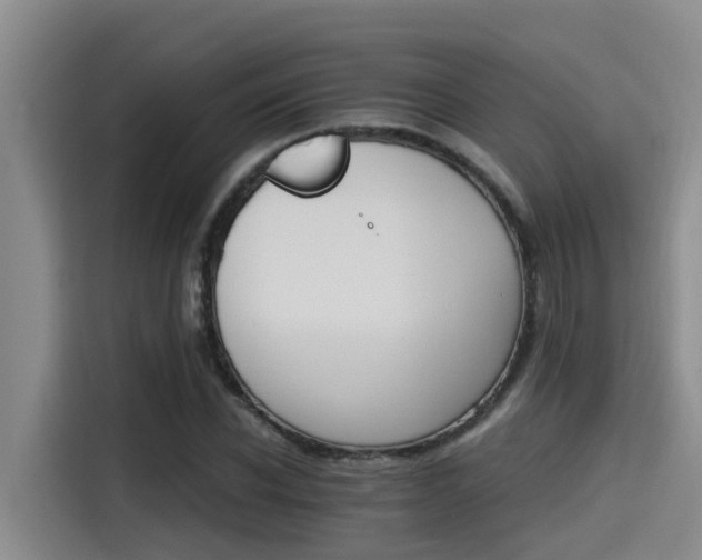 X0000115270926200911061305
