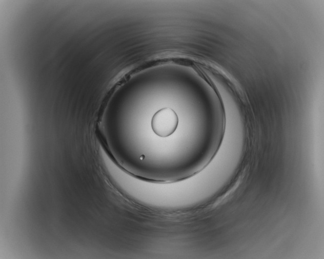 X0000115270929200911061305