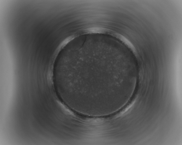 X0000115270930200911061305