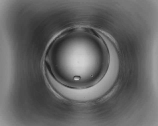 X0000115270941200911061305