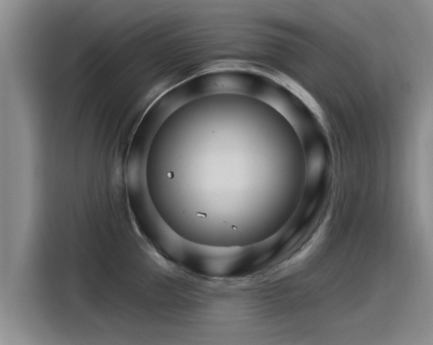 X0000115270953200911061305