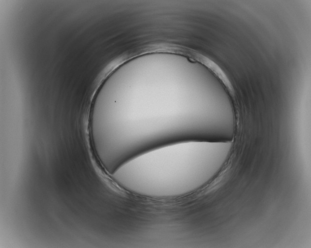 X0000115270954200911061305