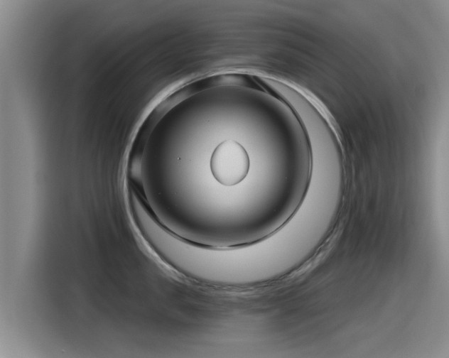 X0000115270957200911061305