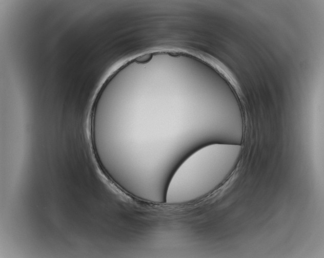 X0000115270958200911061305