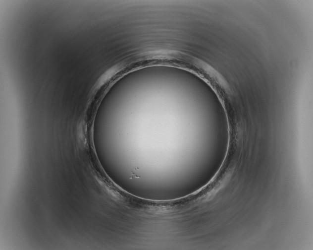 X0000115270970200911061304