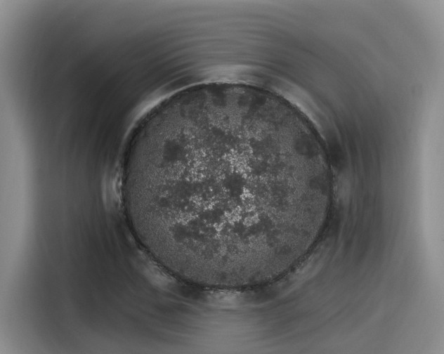 X0000115270971200911061304