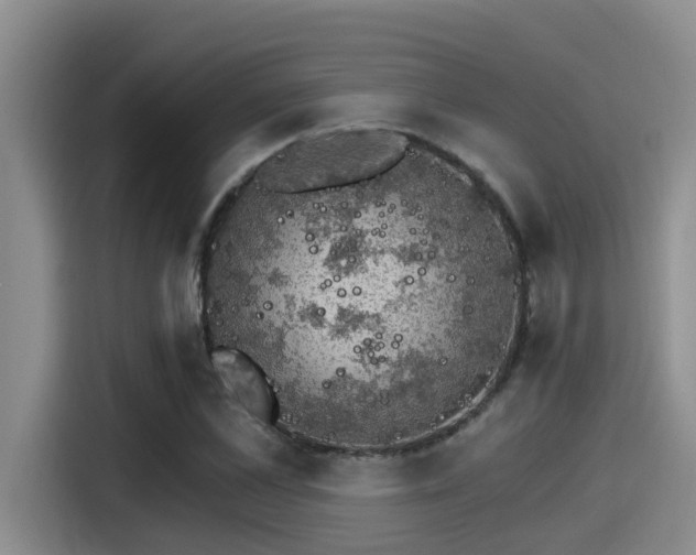 X0000115270973200911061304