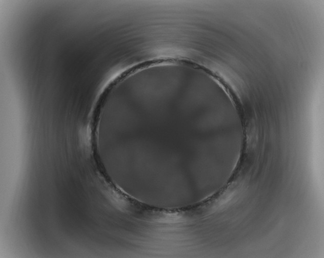 X0000115270975200911061304