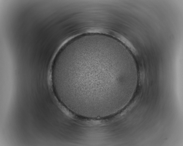 X0000115270976200911061304