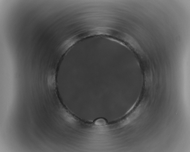 X0000115270977200911061304