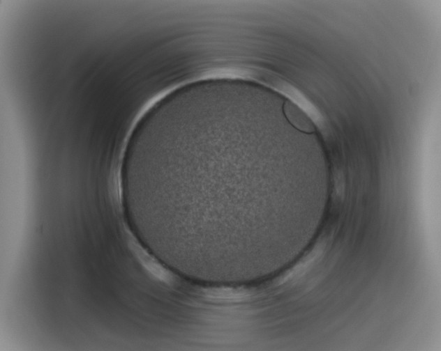 X0000115270980200911061304