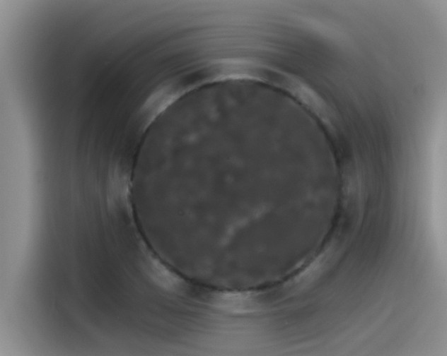 X0000115270985200911061304