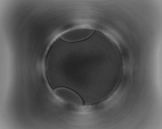 X0000115270989200911061304