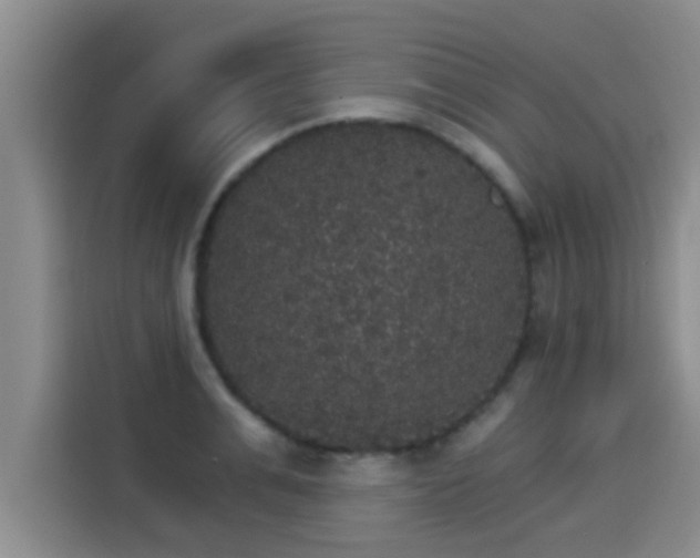 X0000115270991200911061304