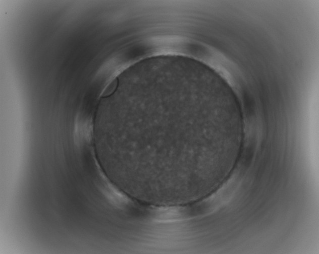 X0000115270993200911061304