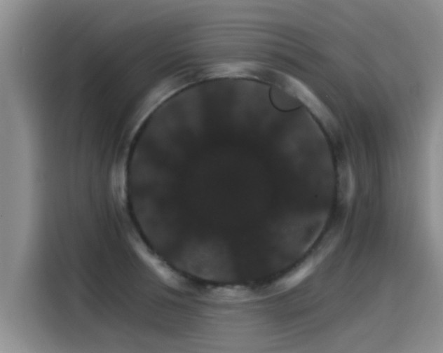 X0000115270994200911061304
