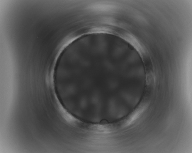 X0000115270995200911061304