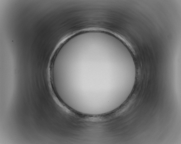 X0000115270998200911061304