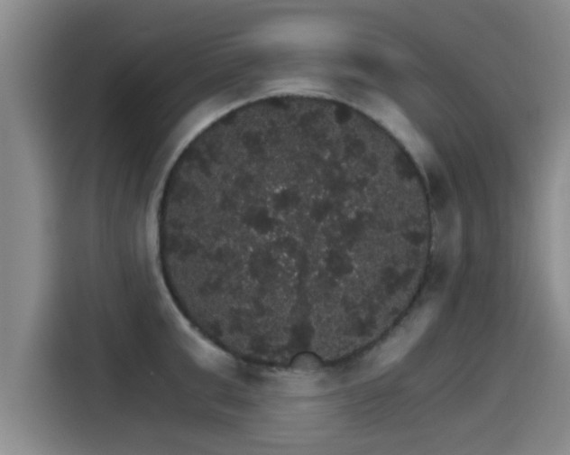 X0000115270999200911061304