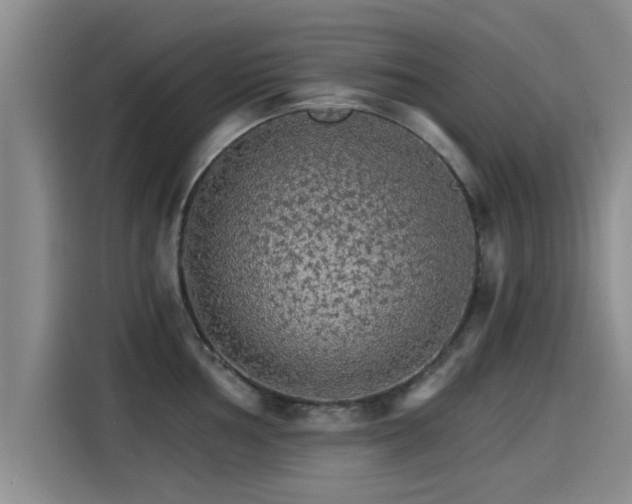 X0000115271002200911061304