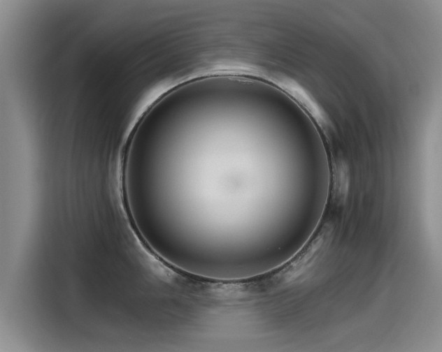 X0000115271006200911061304