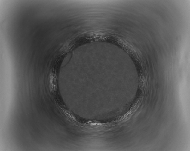 X0000115271010200911061303