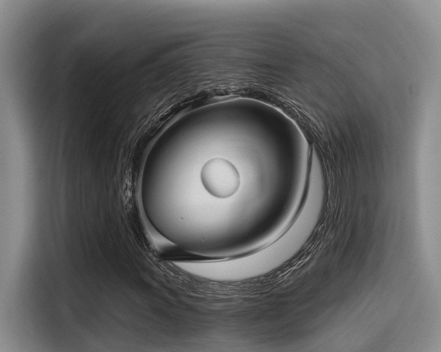 X0000115271011200911061303
