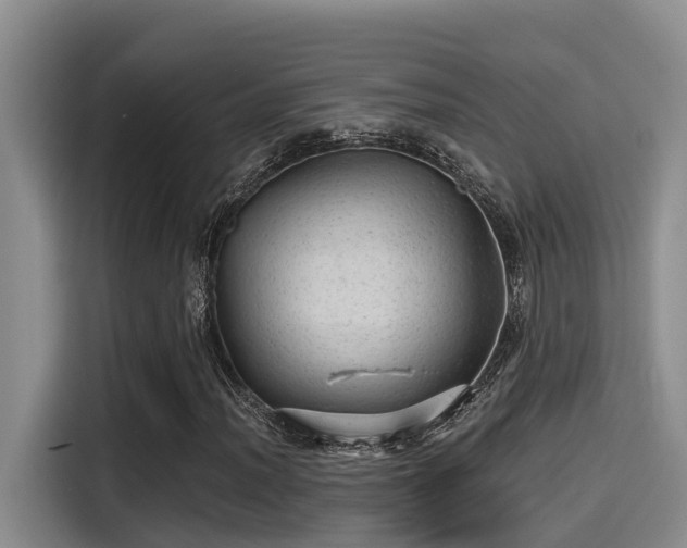 X0000115271012200911061303