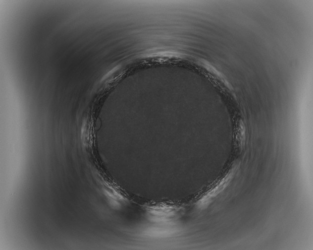 X0000115271014200911061303