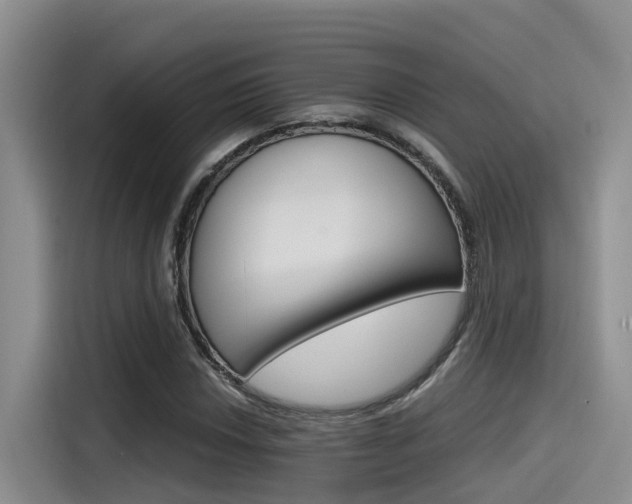 X0000115271018200911061303