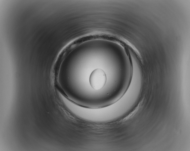 X0000115271021200911061303