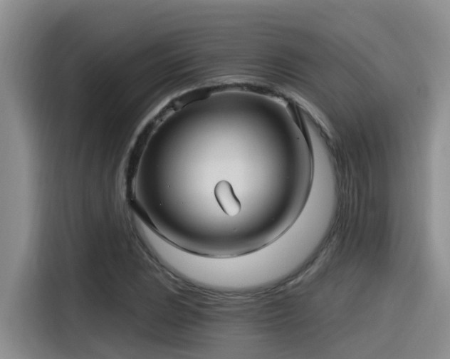 X0000115271023200911061303