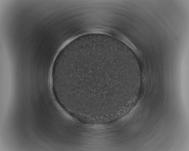 X0000115271028200911061303