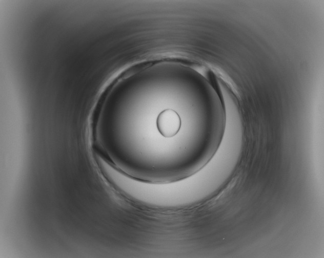 X0000115271031200911061304