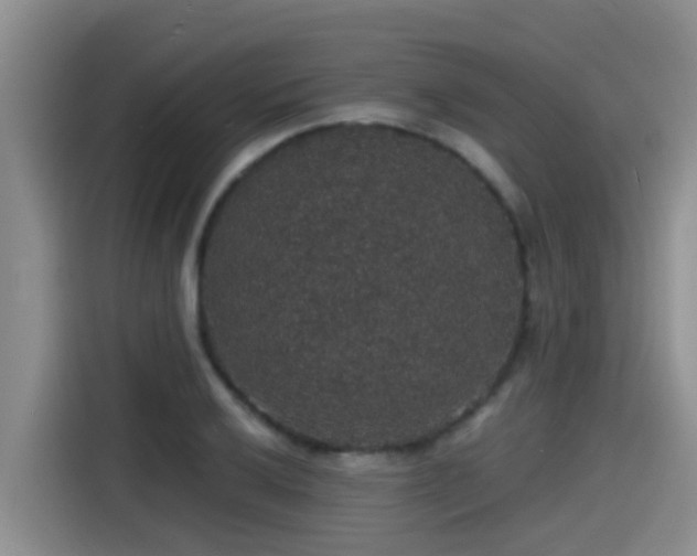 X0000115271032200911061304