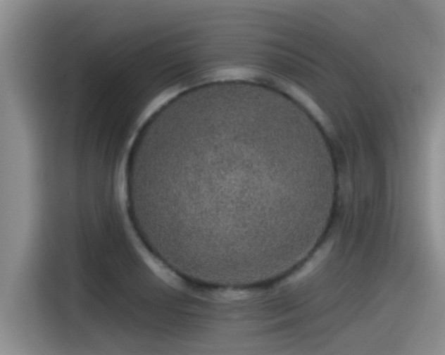 X0000115271034200911061304