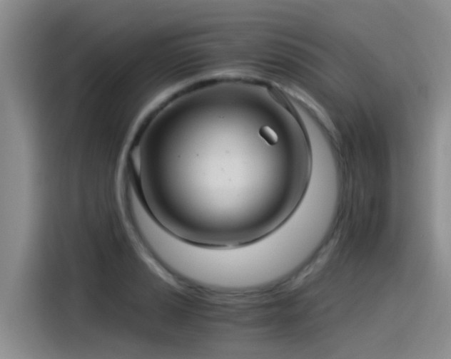 X0000115271037200911061304