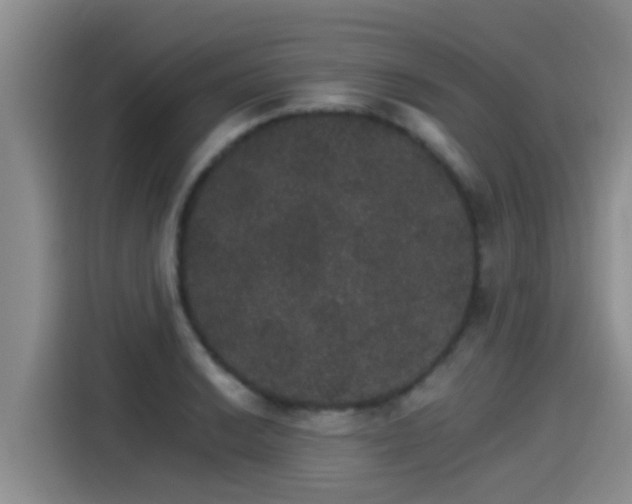 X0000115271038200911061304