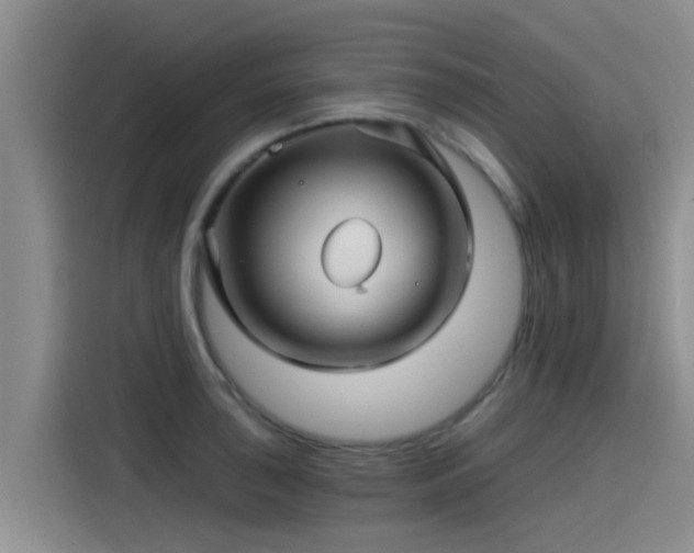 X0000115271043200911061304