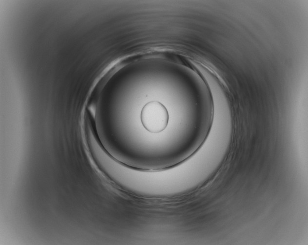 X0000115271047200911061304