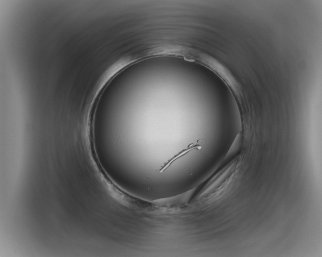 X0000115271050200911061304