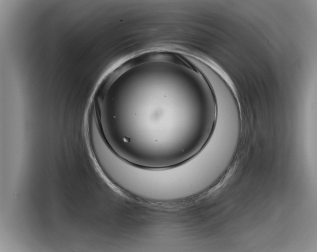 X0000115271053200911061304