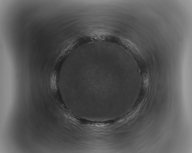 X0000115271060200911061303
