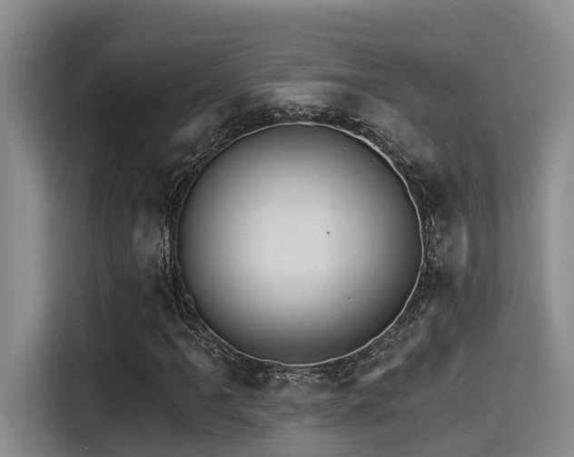 X0000115271061200911061303